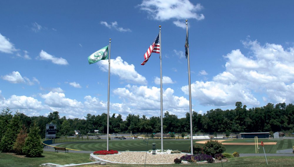 Baseball Field Flags