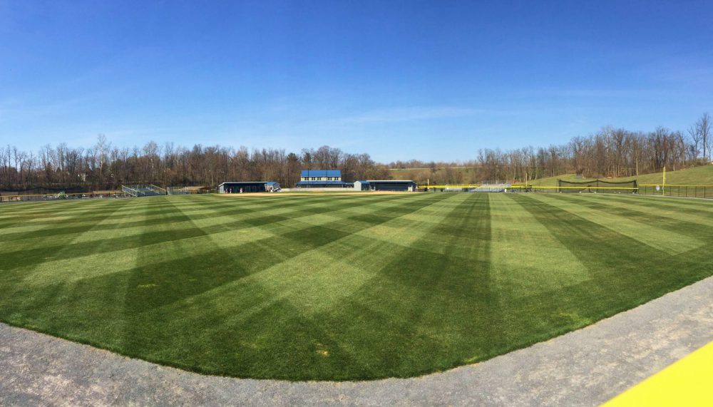 Baseball Field - Outfield